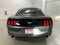 2015 Ford Mustang EcoBoost