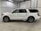 2021 Ford Expedition Max Platinum